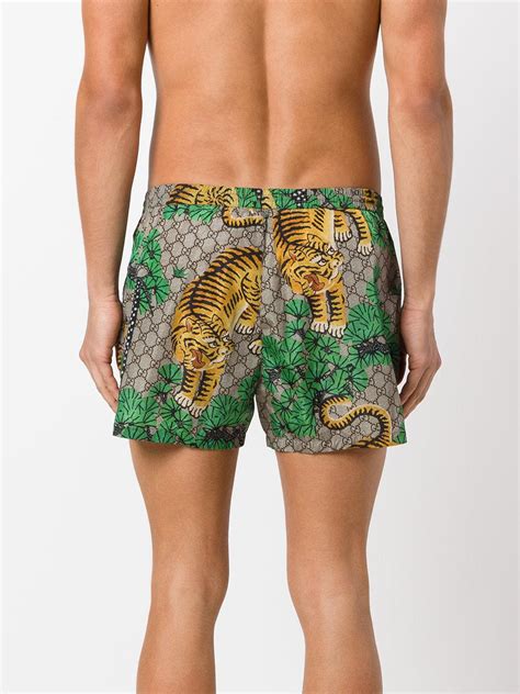 men gucci swimming trunks|Gucci bengal swim shorts.